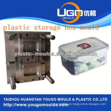 Zhejiang taizhou Huangyan mochila de recipiente de bateria e 2013 Caixa de ferramentas de injeção de plástico nova casa mouldyougo molde